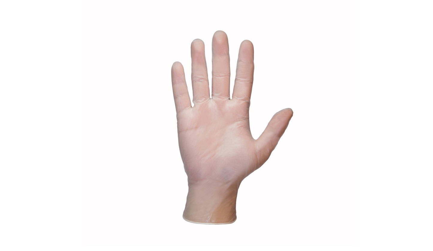 20000 Series – Shamrock Clear Vinyl Exam Powder Free Gloves